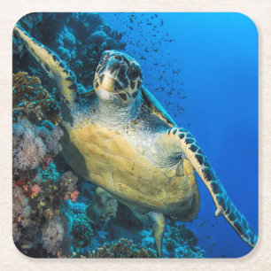 Posavasos Cuadrado De Papel Mar Rojo de la tortuga de mar verde el