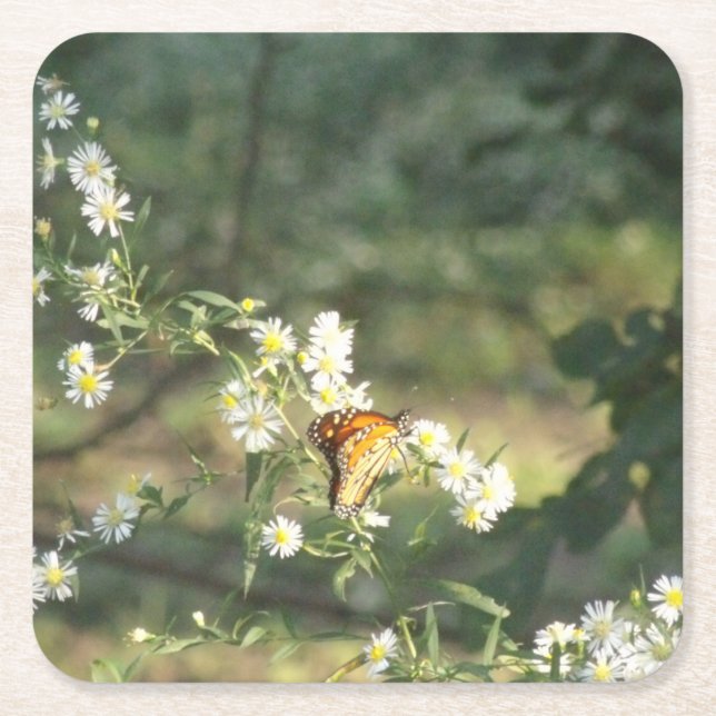 Posavasos Cuadrado De Papel Mariposa (Anverso)