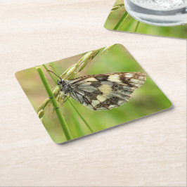 Posavasos Cuadrado De Papel Mariposa blanca desangrada en la hierba