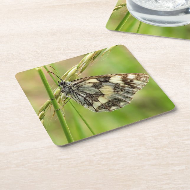 Posavasos Cuadrado De Papel Mariposa blanca desangrada en la hierba (En perspectiva)