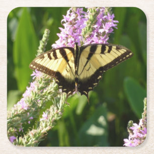 Posavasos Cuadrado De Papel Mariposa Cola de Golondrina en Flores Silvestres P