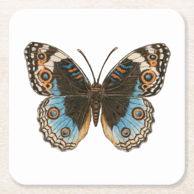 Posavasos Cuadrado De Papel Mariposa de Blue Pansy (Anverso)