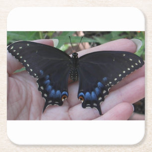 Posavasos Cuadrado De Papel Mariposa de cola cruda negra #1