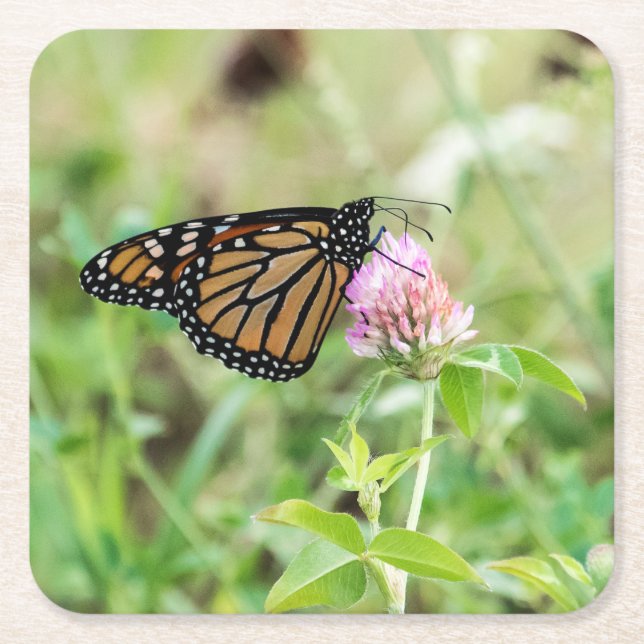 Posavasos Cuadrado De Papel Mariposa de monarca (Anverso)