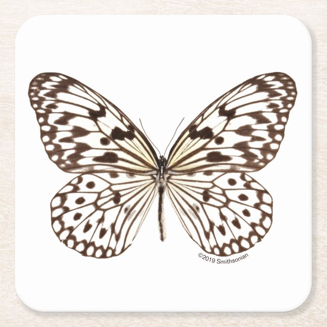 Posavasos Cuadrado De Papel Mariposa del tigre de la castaña (Anverso)