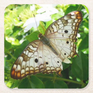 Posavasos Cuadrado De Papel Mariposa en la fotografía de la naturaleza tropica