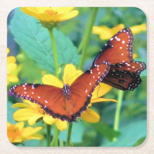 Posavasos Cuadrado De Papel Mariposa monarca - escayola