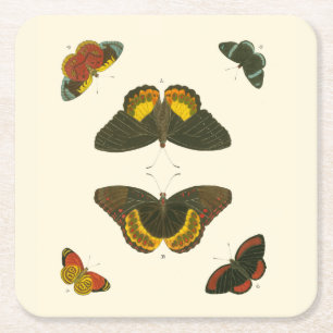 Posavasos Cuadrado De Papel Mariposas brillantes de Pieter Cramer