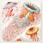 Posavasos Cuadrado De Papel Marisco, Discomedusae de Ernst Haeckel<br><div class="desc">Jellyfish,  Discomedusae Scheibenquallen por Ernst Haeckel Paper Coaster</div>