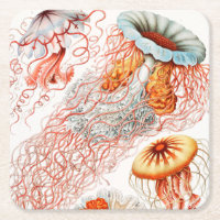 Marisco, Discomedusae de Ernst Haeckel
