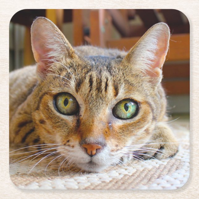 Posavasos Cuadrado De Papel Máscaras de felino (Anverso)