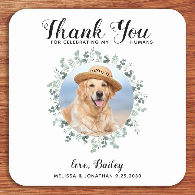 Posavasos Cuadrado De Papel Mascota personalizado Foto Boda de perro Eucalyptu (Subido por el creador)