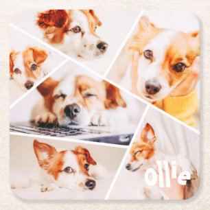 Posavasos Cuadrado De Papel Mascotas Personalizado simple moderno 6 imágenes C