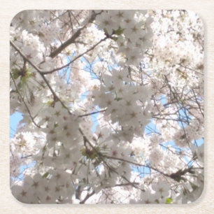 Posavasos Cuadrado De Papel Máster de papel Cherry Blossom