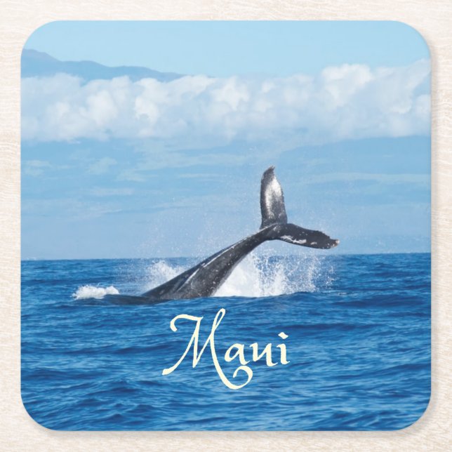 Posavasos Cuadrado De Papel Maui Hawaii Ocean Whale Tail (Anverso)