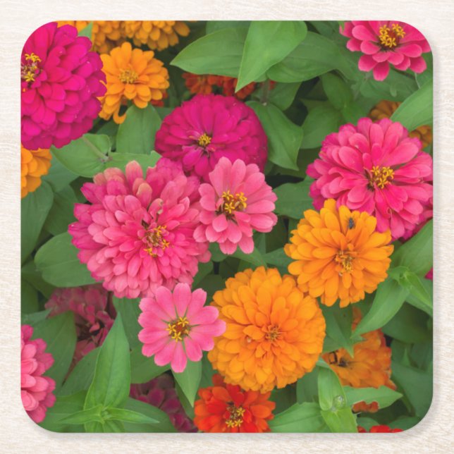 Posavasos Cuadrado De Papel Michigan, Dearborn, Greenfield Village. Cerrar (Anverso)