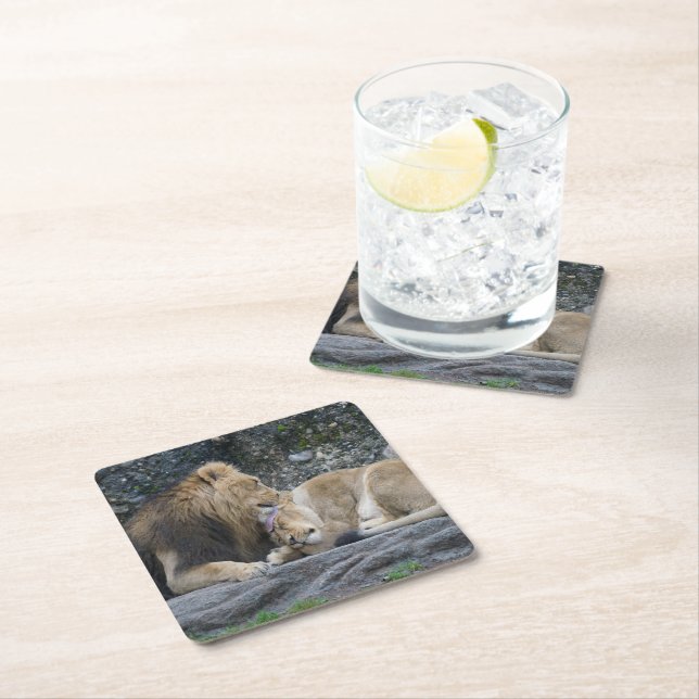 Posavasos Cuadrado De Papel Mighty Lion Love (In situ)