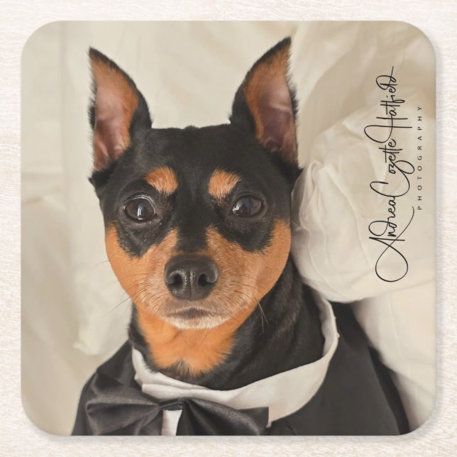 Posavasos Cuadrado De Papel MinPin Tux (Anverso)