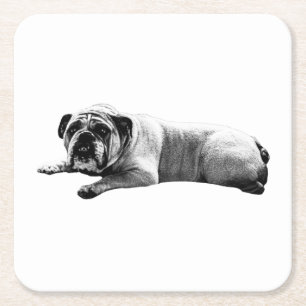 Posavasos Cuadrado De Papel Momentos de bulldog