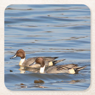 Posavasos Cuadrado De Papel Monasterio de papel de pintail
