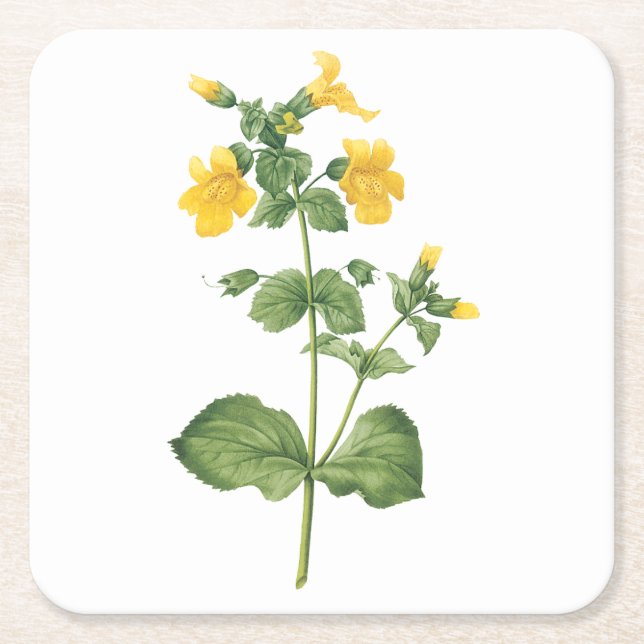 Posavasos Cuadrado De Papel monkeyflower(Mimulus sp.) de Redouté (Anverso)