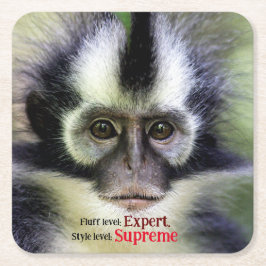 Posavasos Cuadrado De Papel Mono fluffy Thomas Leaf