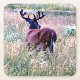 Posavasos Cuadrado De Papel Monstruo de campo de verano de Whitetail Buck