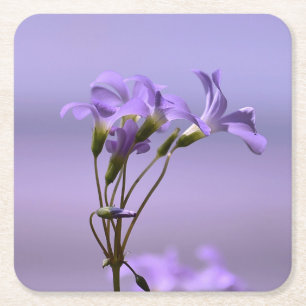 Posavasos Cuadrado De Papel Monstruo de flores moradas