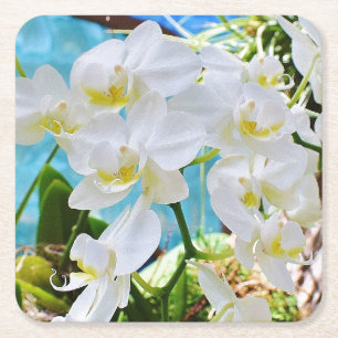 Posavasos Cuadrado De Papel Monstruo de papel con orquídeas blancas