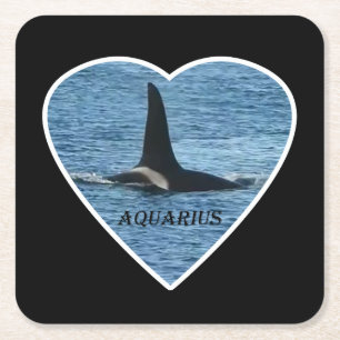 Posavasos Cuadrado De Papel Montaña Rusa Orca "Aquarius" Aleta de Ballena Ases