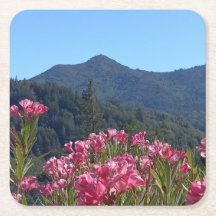 Montañas de papel de Tamalpais con flores rosas