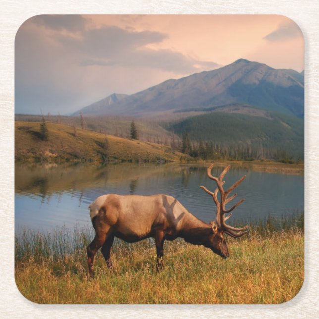 Posavasos Cuadrado De Papel Montañas | Jacques Mountain Range Alberta Canadá (Anverso)