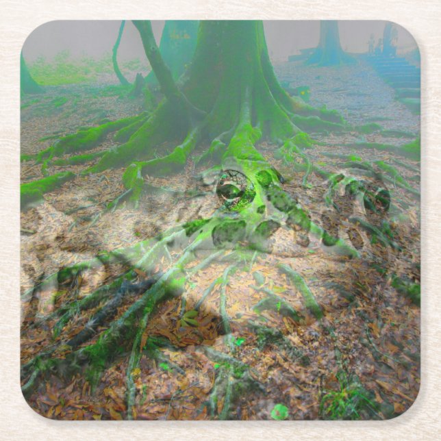 Posavasos Cuadrado De Papel Mossy Frog (Anverso)