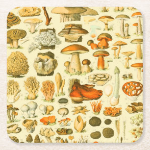 Posavasos Cuadrado De Papel Mushroom Vintage Toadstool Ilustracion antiguo