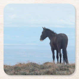 Posavasos Cuadrado De Papel Mustang Salvaje