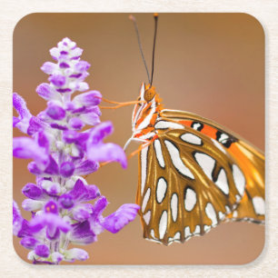 Posavasos Cuadrado De Papel Naranja brillante mariposa fritillera del Golfo