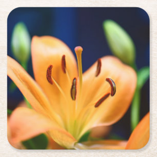 Posavasos Cuadrado De Papel Naranja Lilly Flower Blossom