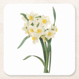 Posavasos Cuadrado De Papel narcissus (Narcissus tazetta) por Redouté