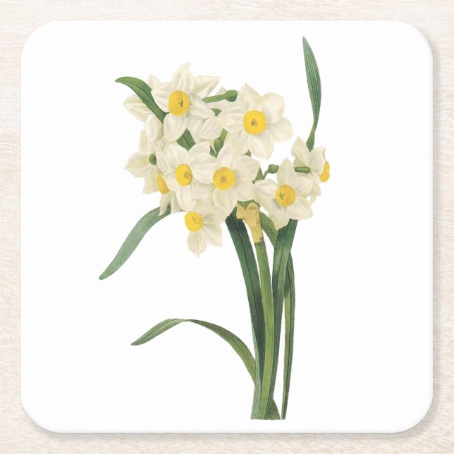 Posavasos Cuadrado De Papel narcissus (Narcissus tazetta) por Redouté (Anverso)