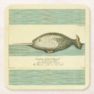 Posavasos Cuadrado De Papel Narwhal Antiguo Whale Watercolor Arte Científico