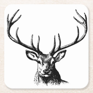 Posavasos Cuadrado De Papel Naturaleza de las Antillas Animales de Cerveza Cab