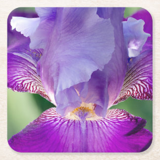 Posavasos Cuadrado De Papel Naturaleza Iris brillante / Floral / Foto Botánica