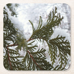 Posavasos Cuadrado De Papel Nieve en ramas verdes