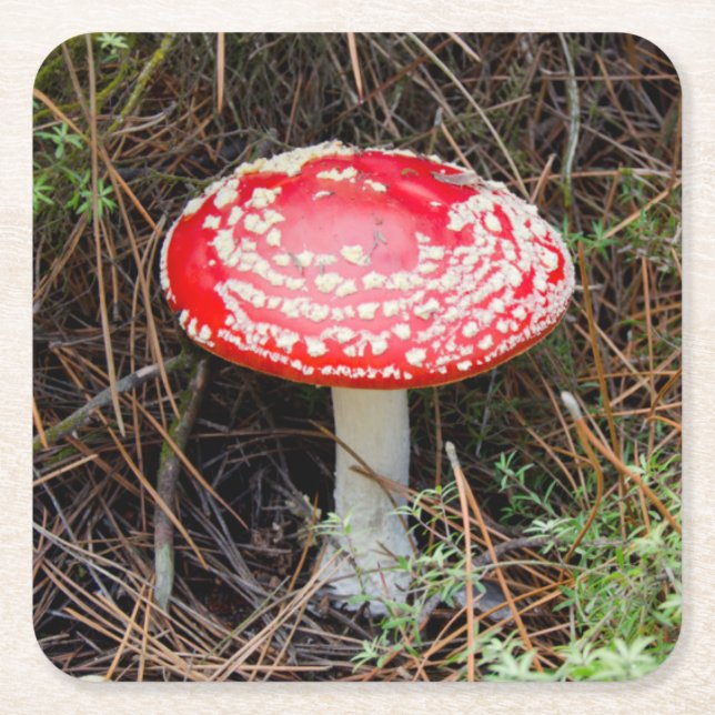 Posavasos Cuadrado De Papel Nueva Zelanda, Rotorua, Zona Volcánica de Taupo (Anverso)