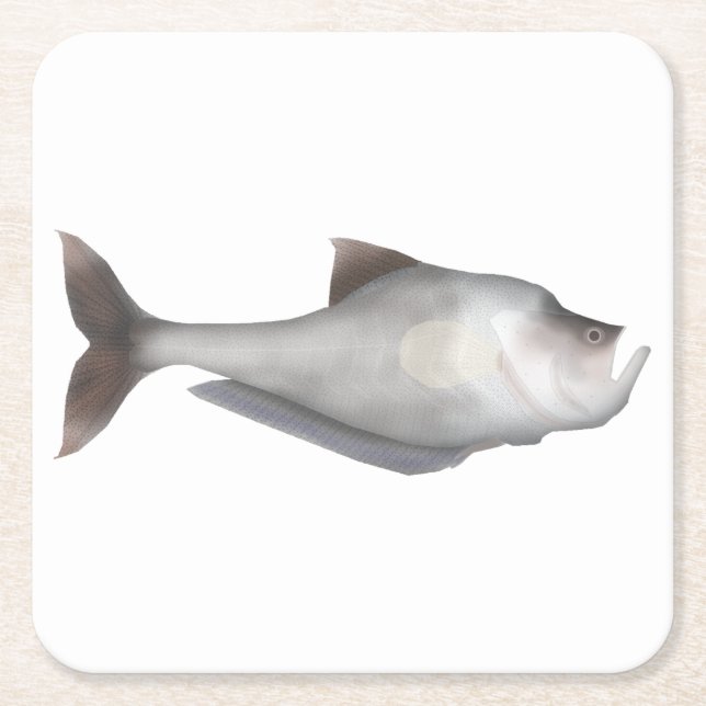 Posavasos Cuadrado De Papel Nurseryfish (Anverso)