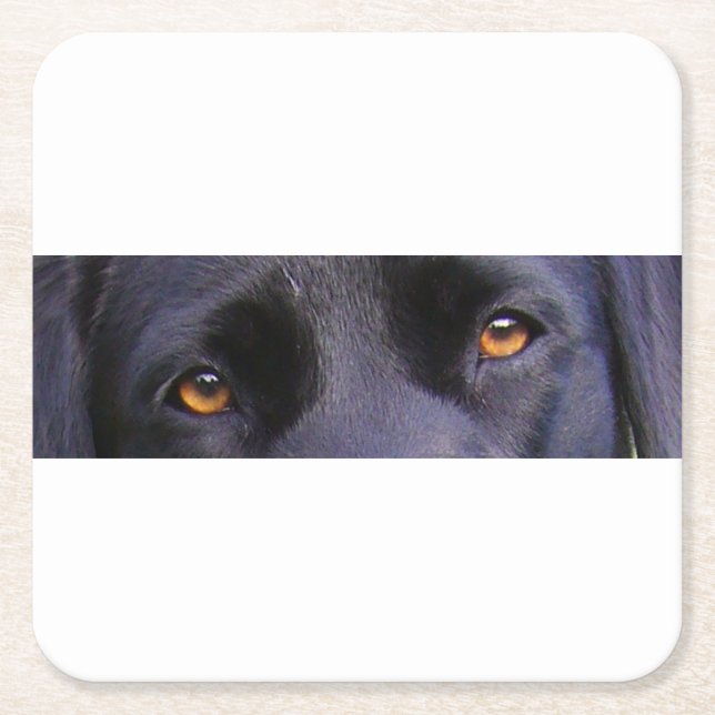 Posavasos Cuadrado De Papel Ojos negros réflex (Anverso)