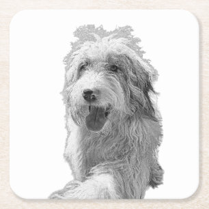 Posavasos Cuadrado De Papel Ojos Suaves, Superficie Sólida – Retrato de Perro