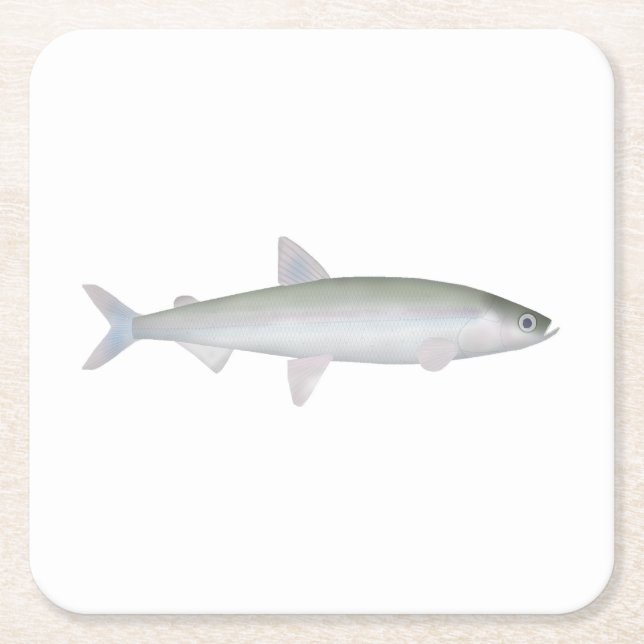 Posavasos Cuadrado De Papel Olor arcoiris (Anverso)