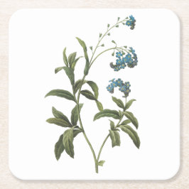Posavasos Cuadrado De Papel Olvídate me-not (Myosotis scorpioides) de Redouté