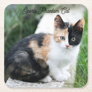 Posavasos Cuadrado De Papel Opera Gato fantasma